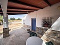 Prachtig veld met renovatiepotentieel in Almansa in Alicante Dream Homes Castalla 