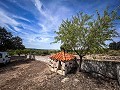 Herrliches Grundstück mit Renovierungspotenzial in Almansa in Alicante Dream Homes Castalla 