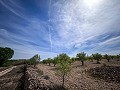 Herrliches Grundstück mit Renovierungspotenzial in Almansa in Alicante Dream Homes Castalla 