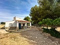 Magnificent country house with renovation potential in Almansa in Alicante Dream Homes Castalla 