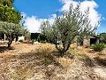 Maravillosa villa de 2 plantas en Castalla in Alicante Dream Homes Castalla 