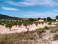 Villa de 2 dormitorios (posible 3 dormitorios) con vistas espectaculares in Alicante Dream Homes Castalla 