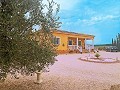 Maison de 3 chambres et 2 salles de bains à Torre del Rico in Alicante Dream Homes Castalla 