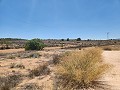 27.000m2 de terreno con cabaña de madera in Alicante Dream Homes Castalla 