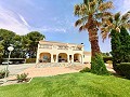 Erstaunliche Villa mit 6 Schlafzimmern und 3 Bädern in Yecla in Alicante Dream Homes Castalla 