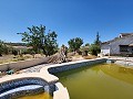 Stunning Countryhouse with Private Pool in Alicante Dream Homes Castalla 