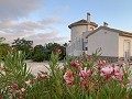 Lovely spiral villa in cañada de la Trigo in Alicante Dream Homes Castalla 