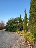 Lovely spiral villa in cañada de la Trigo in Alicante Dream Homes Castalla 