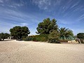 Campsite Business with a 4 Bed House in Alicante Dream Homes Castalla 