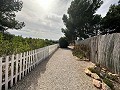 Campingplatzbetrieb mit 4-Bett-Haus in Alicante Dream Homes Castalla 