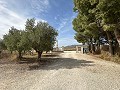 Campingplatzbetrieb mit 4-Bett-Haus in Alicante Dream Homes Castalla 