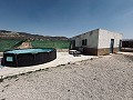 Villa with outbuildings in Abanilla in Alicante Dream Homes Castalla 