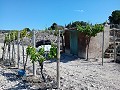 Precioso Terreno perfecto para una casa móvil y cerca de la playa in Alicante Dream Homes Castalla 