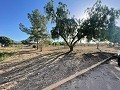 Terreno en Úbeda in Alicante Dream Homes Castalla 