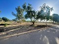 Land in Ubeda in Alicante Dream Homes Castalla 