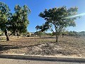 Terreno en Úbeda in Alicante Dream Homes Castalla 