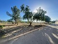 Terreno en Úbeda in Alicante Dream Homes Castalla 