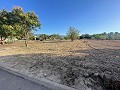 Terreno en Úbeda in Alicante Dream Homes Castalla 