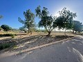 Land in Ubeda in Alicante Dream Homes Castalla 