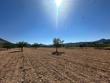 Lovely building plot in Macisvenda