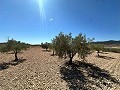 Geweldig bouwkavel in Cañada Del Trigo in Alicante Dream Homes Castalla 