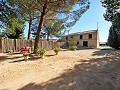  4 Bedroom Country House 4 min outside Pinoso in Alicante Dream Homes Castalla 