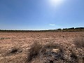 Large Parcel of Land with Olive Trees in Alicante Dream Homes Castalla 