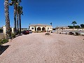 Villa de 3 chambres et 2 salles de bains à Catral avec piscine et accès asphalté in Alicante Dream Homes Castalla 