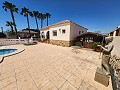 Villa de 3 chambres et 2 salles de bains à Catral avec piscine et accès asphalté in Alicante Dream Homes Castalla 