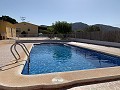 Villa mit 3 Schlafzimmern, großem Pool und Sommerküche in Alicante Dream Homes Castalla 