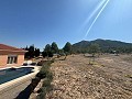 5 bedroom Mountain retreat in Biar 38,000m2 land in Alicante Dream Homes Castalla 