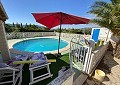 Villa in Salinas mit privatem Pool und Grundstück mit Olivenbäumen in Alicante Dream Homes Castalla 