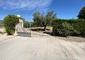 Villa in Salinas with Private Pool & Land with Olive Trees in Alicante Dream Homes Castalla 