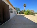 Tranquil 3 Bedroom Villa Pinoso in Alicante Dream Homes Castalla 