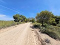 Country House in Jumilla, Murcia in Alicante Dream Homes Castalla 