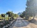 Country House in Jumilla, Murcia in Alicante Dream Homes Castalla 