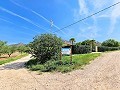 Country House in Jumilla, Murcia in Alicante Dream Homes Castalla 