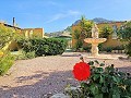 Country House in Jumilla, Murcia in Alicante Dream Homes Castalla 