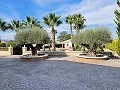 Belle ancienne bodega transformée en domaine unique avec possibilité de B&B ou casa rural. in Alicante Dream Homes Castalla 