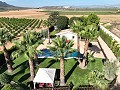 Prachtige oude bodega verbouwd tot uniek landgoed met mogelijkheid voor een B&B of casa rural. in Alicante Dream Homes Castalla 