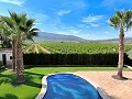 Prachtige oude bodega verbouwd tot uniek landgoed met mogelijkheid voor een B&B of casa rural. in Alicante Dream Homes Castalla 