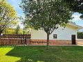 Prachtige oude bodega verbouwd tot uniek landgoed met mogelijkheid voor een B&B of casa rural. in Alicante Dream Homes Castalla 