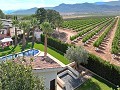 Prachtige oude bodega verbouwd tot uniek landgoed met mogelijkheid voor een B&B of casa rural. in Alicante Dream Homes Castalla 