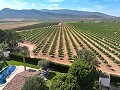 Wunderschöne alte Bodega, die in ein einzigartiges Anwesen mit der Möglichkeit eines B&B oder einer Casa Rural umgewandelt wurde. in Alicante Dream Homes Castalla 