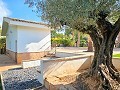 Prachtige oude bodega verbouwd tot uniek landgoed met mogelijkheid voor een B&B of casa rural. in Alicante Dream Homes Castalla 