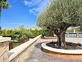 Beautiful old bodega converted into a unique estate with the possibility of a B&B or casa rural in Alicante Dream Homes Castalla 