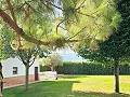 Belle ancienne bodega transformée en domaine unique avec possibilité de B&B ou casa rural. in Alicante Dream Homes Castalla 