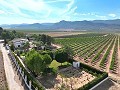 Wunderschöne alte Bodega, die in ein einzigartiges Anwesen mit der Möglichkeit eines B&B oder einer Casa Rural umgewandelt wurde. in Alicante Dream Homes Castalla 