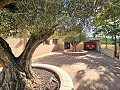 Wunderschöne alte Bodega, die in ein einzigartiges Anwesen mit der Möglichkeit eines B&B oder einer Casa Rural umgewandelt wurde. in Alicante Dream Homes Castalla 