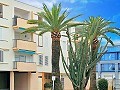 Apartamento de 2 dormitorios en Javea in Alicante Dream Homes Castalla 